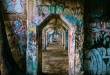 Graffiti has undergone a massive shift in a few quick decades as street art gains social acceptance