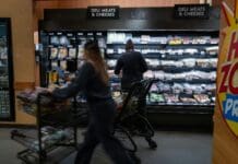 SNAP benefits have been cut and disrupted – causing more kids to go without enough healthy food and harming child development