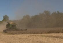 Farmers – long Trump backers – bear the costs of new tariffs, restricted immigration and slashed renewable energy subsidies