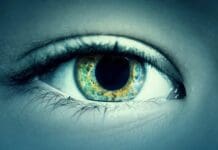 How do my eyes adjust to the dark and how long does it take?