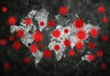 Viral outbreaks are always on the horizon – here are the viruses an infectious disease expert is watching in 2026