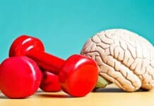 Your brain can be trained, much like your muscles – a neurologist explains how to boost your brain health