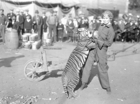 The inspiring and tragic story of Mabel Stark, America’s most famous female tiger trainer