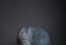 AI doesn’t ‘see’ the way that you do, and that could be a problem when it categorizes objects and scenes