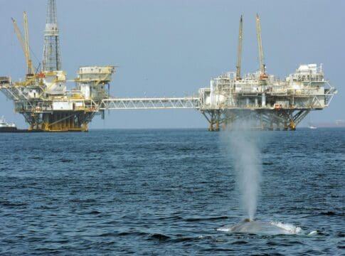 Trump’s ‘God Squad’ pits energy vs. endangered species, but it’s a false choice – protecting wildlife can be good for business