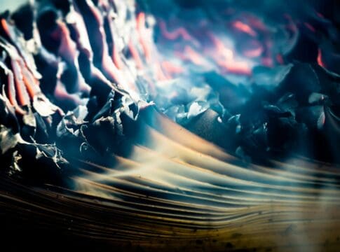 A justice department opinion arguing the Presidential Records Act is unconstitutional could revert the nation to a time when presidents freely burned their papers