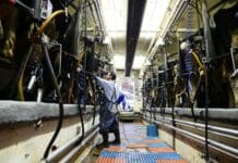 Agricultural work is dangerous – but good communication can save lives in Colorado