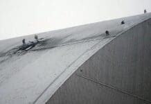 Research at Chernobyl and Fukushima shows how radioactive materials move in the environment