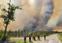 Why the Southeast is burning – extreme drought is only part of the reason