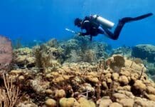 Many of the Caribbean’s most important reefs are going unprotected