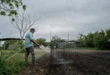 Why Corpus Christi faces a looming water shortage, and what might help