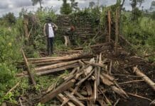 Efforts to combat climate change often exclude Indigenous people – and they may not have any recourse