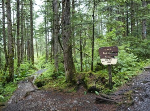 Paving paradise: Dismantling the US Roadless Rule threatens to disrupt wildlife, water and peace in the last quiet places in America