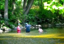 Microplastics are everywhere in Pennsylvania’s water – but the tide may be turning