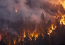 Heat waves increase wildfire risk – a new study explains how much, and it’s not a small number
