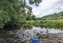 Fishing for DNA – how a cup of river water can reveal secrets about human health, pollution and biodiversity