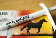 Ivermectin isn’t a cancer miracle drug, but influencers claim otherwise – here’s how to avoid sprinting past scientific evidence