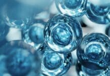 Creating synthetic life in a lab? SpudCell falls short of the goal, but raises even more useful questions