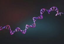 First mRNA flu shot approved by FDA bodes well for improving drugs of the future – though a few hurdles remain before mRNA can move beyond vaccines