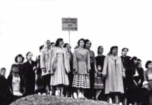 5 unsung films that dramatize America’s rich labor history