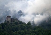 Wildfire-damaged historic buildings may not be as ruined as they appear, but saving them means acting fast
