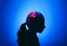 Quitting alcohol changes the brain and can increase the risk of compulsive drinking – new research in mice