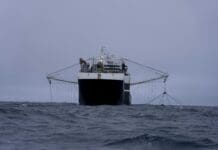 Antarctic krill fishing is now concentrated in the exact pattern conservation rules were designed to prevent