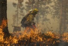 Extreme heat is taking a toll on firefighters as wildfires stretch crews to the limit