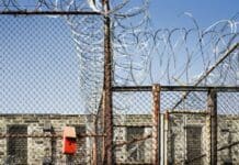 Immigration enforcement is supplying a long-standing economic market for prisoners