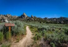 Could you survive The Oregon Trail? An emergency medicine doctor offers tips on how to not die in the great outdoors