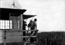 Big fires demand a big response: How 1910’s Big Burn can help us think smarter about fighting wildfires and living with fire