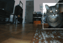 Your robotic vacuum is a witness: What home robots mean for evidence, privacy and the law
