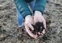 What Wendell Berry meant to Christian farmers going green