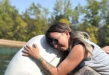 Finding homes for whales and dolphins when parks like Marineland Canada close isn’t easy – a biologist explains why sea sanctuaries aren’t the answer