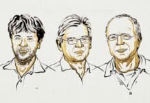 How pond algae led to a Nobel prize and a new way to study the brain