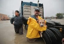 How much rain can a hurricane make, and does the storm size matter?