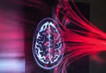 Using light to control brain cells – neuroscientist Karl Deisseroth explains how he made his Nobel-winning discovery